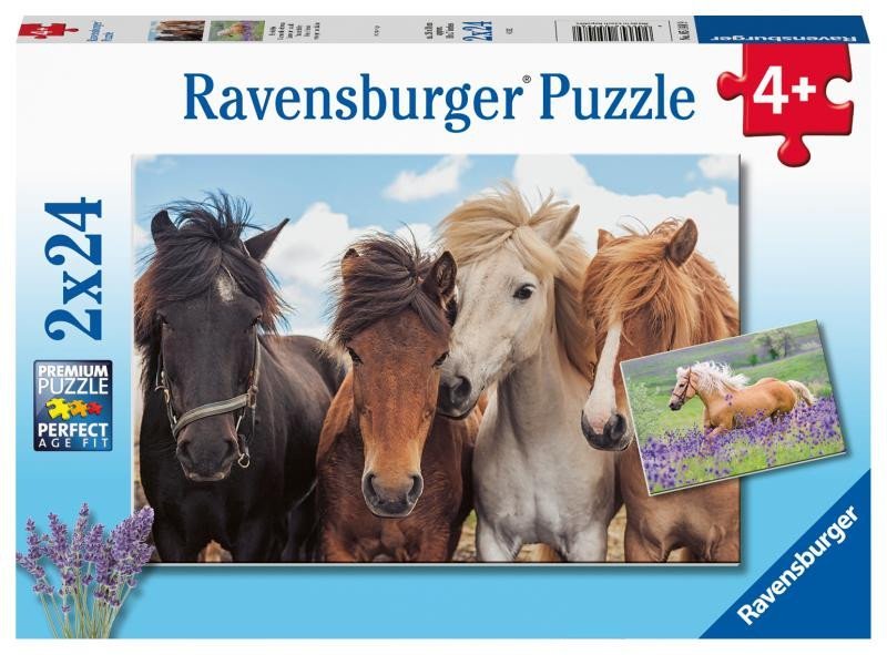 Levně Ravensburger Puzzle - Fotky koní 2 x 24 dílků