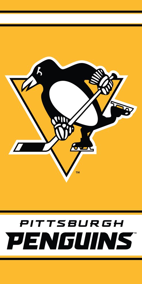 Levně Osuška NHL Pittsburgh Penguins 2. jakost