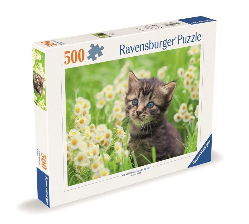 Levně Puzzle Kotě na louce 500 dílků