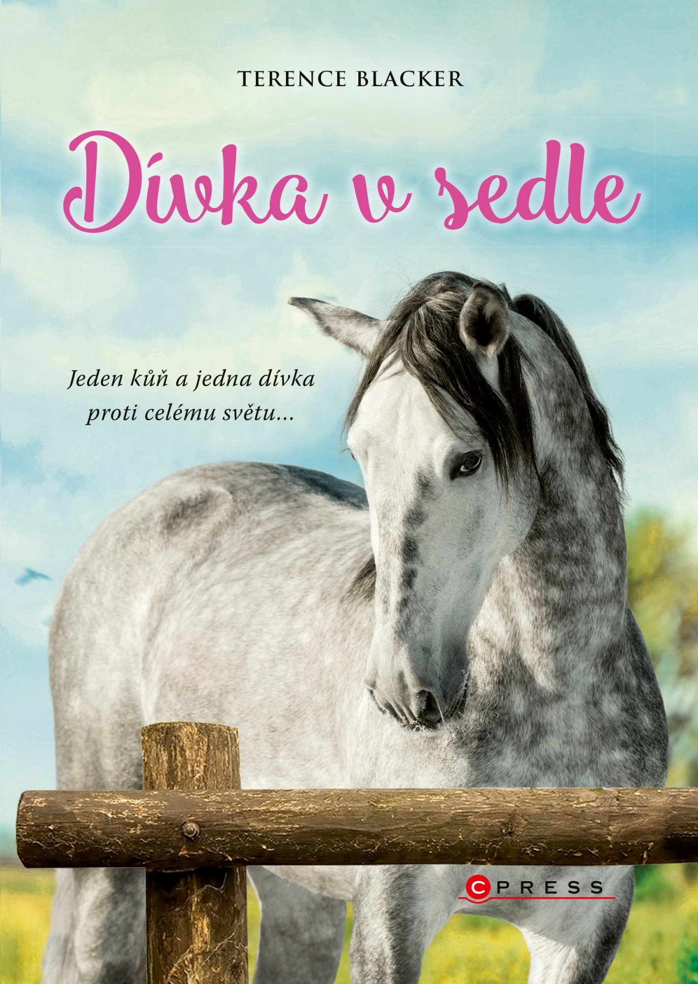 Levně Dívka v sedle, 1. vydání - Terence Blacker