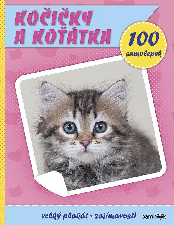 Kočičky a koťátka - Plakát a 100 samolepek - kolektiv autorů