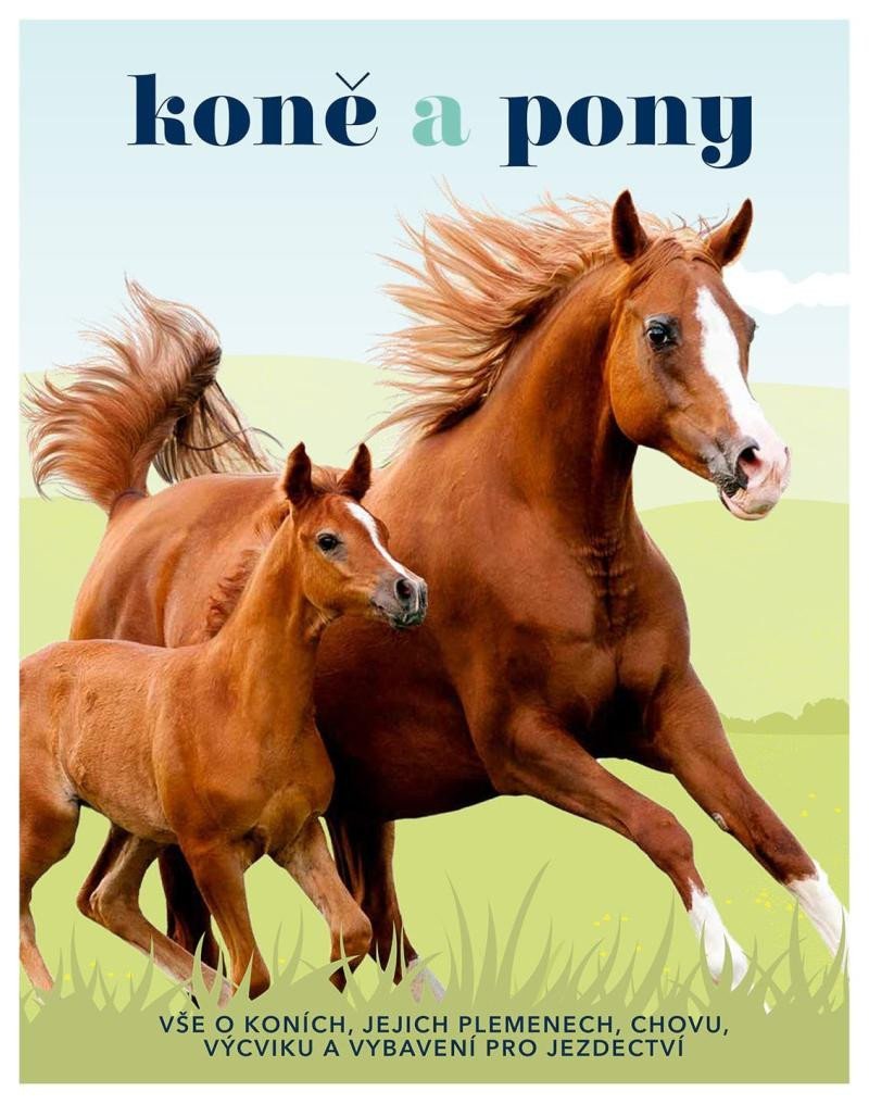 Levně Koně a pony - Vše o koních, jejich plemenech, chovu, výcviku a vybavení pro jezdectví - Caroline Stamps