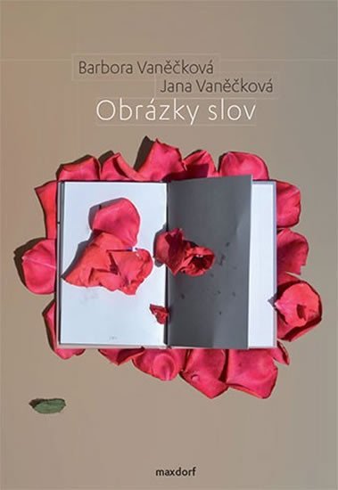 Obrázky slov - Barbara Vaněčková