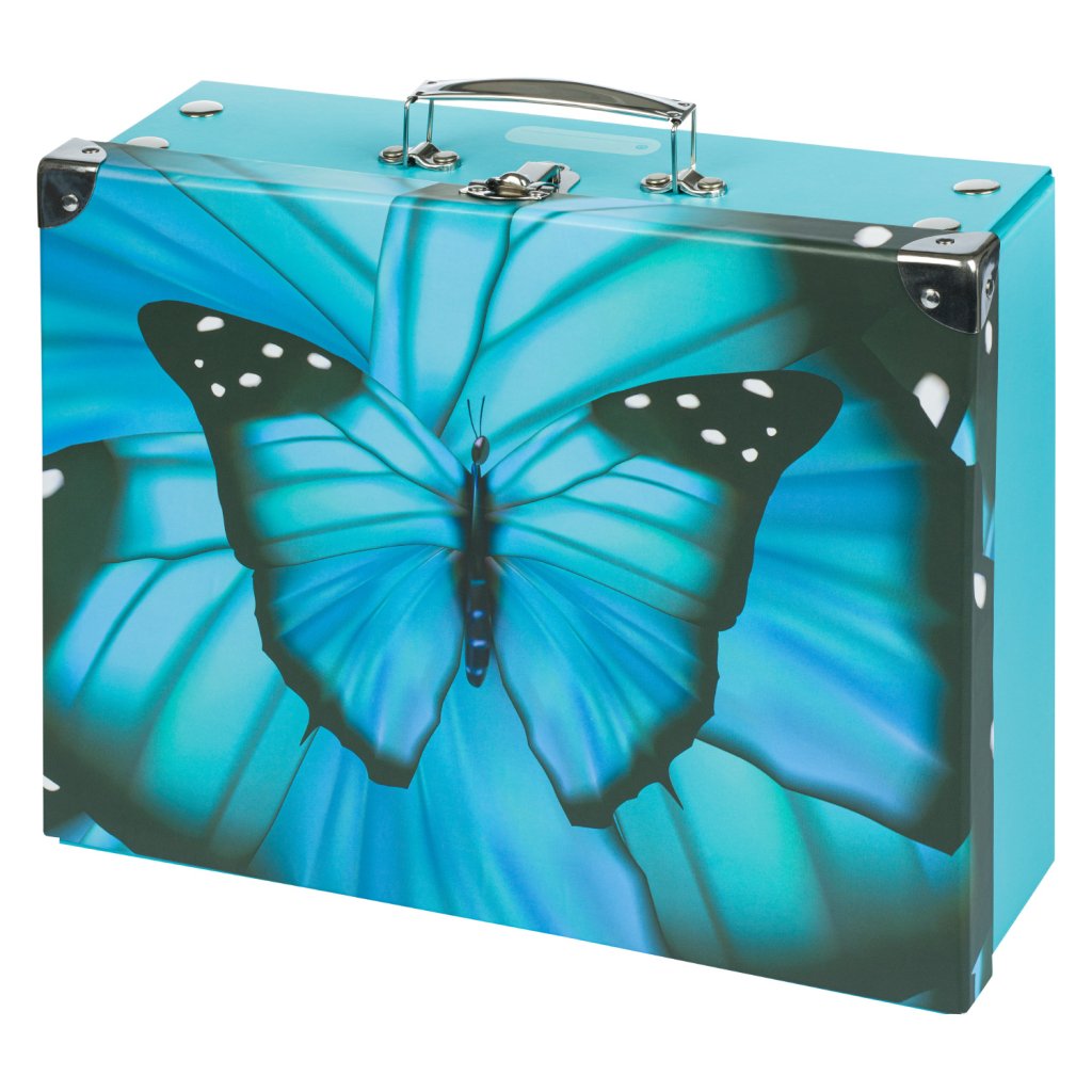 Levně BAAGL Skládací školní kufřík - Butterfly s kováním