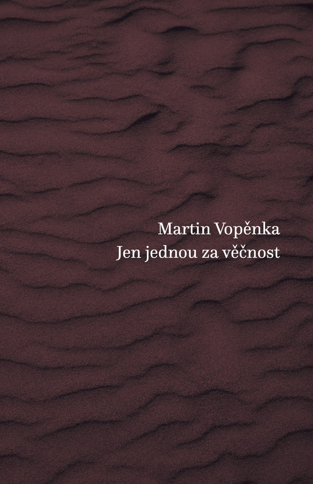 Levně Jen jednou za věčnost - Martin Vopěnka