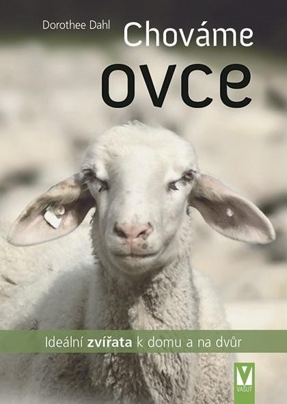 Levně Chováme ovce - Ideální zvířata k domu a na dvůr - Dorothee Dahl