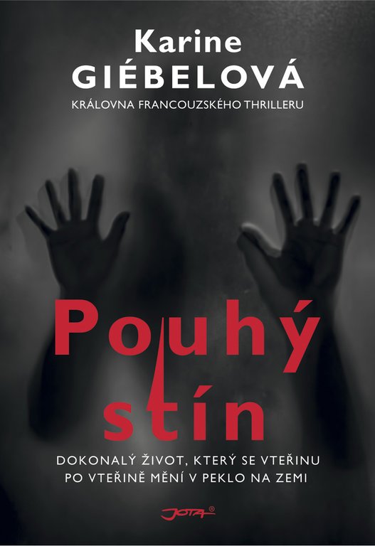 Levně Pouhý stín - Karine Giébelová