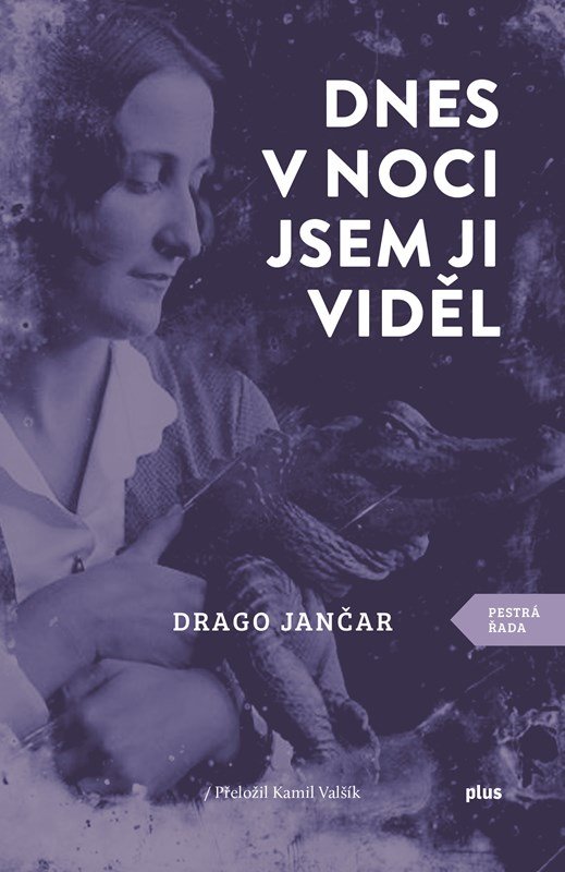 Dnes v noci jsem ji viděl - Drago Jančar