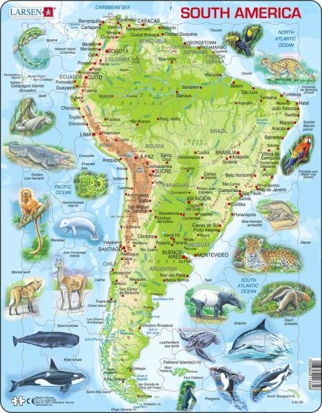 Levně Puzzle South America Topographic Map
