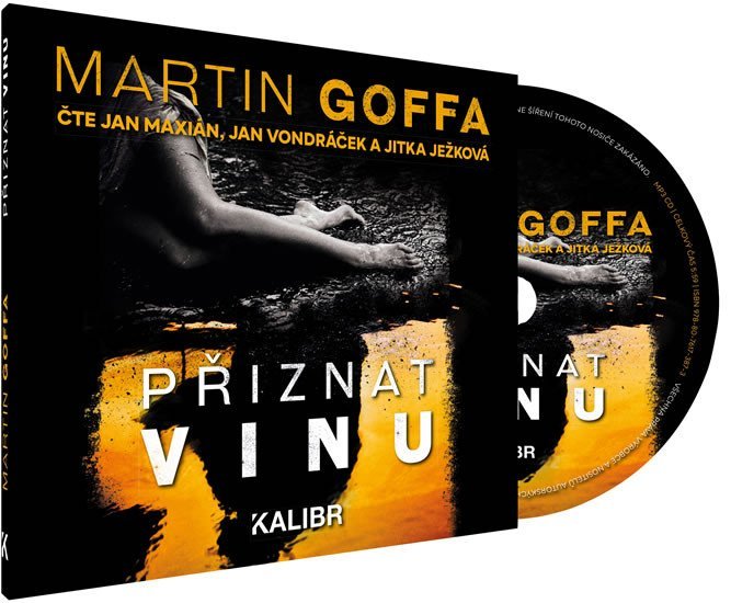 Přiznat vinu - audioknihovna - Martin Goffa